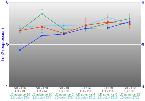 Expression graph