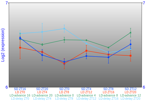 Expression graph