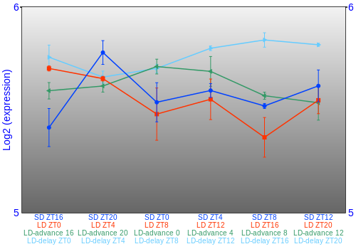 Expression graph