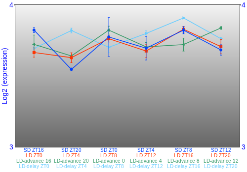 Expression graph
