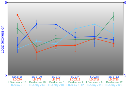 Expression graph