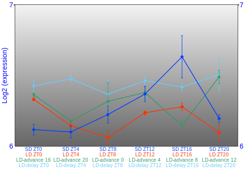 Expression graph