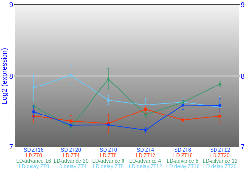 Expression graph