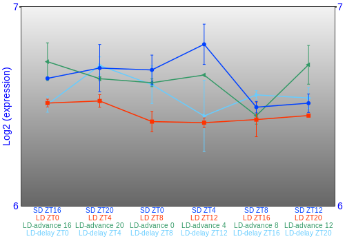 Expression graph