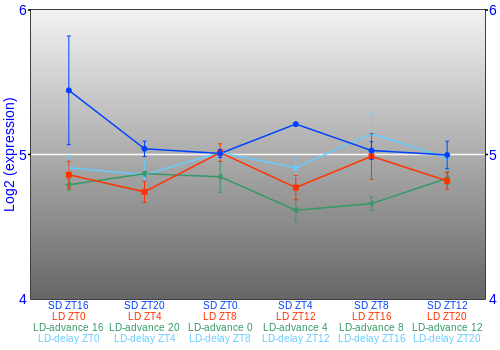 Expression graph