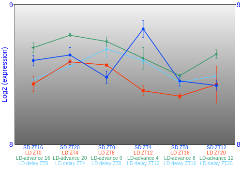 Expression graph