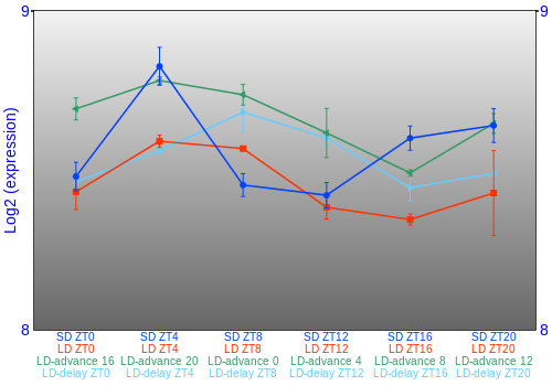 Expression graph