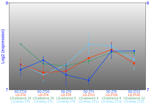 Expression graph