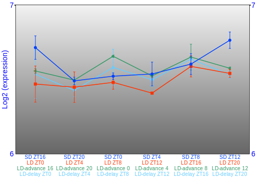 Expression graph