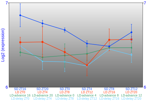 Expression graph