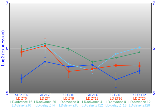 Expression graph