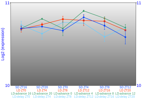 Expression graph