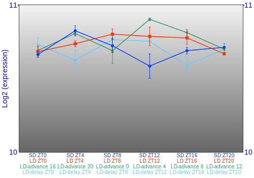 Expression graph