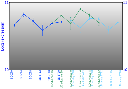 Expression graph