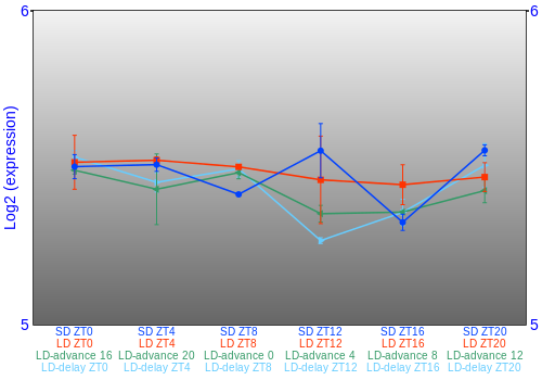 Expression graph