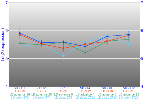 Expression graph