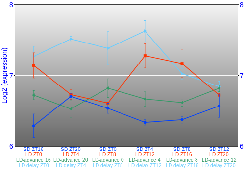 Expression graph