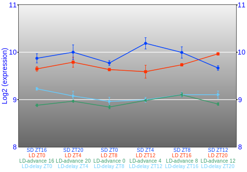 Expression graph