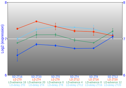 Expression graph