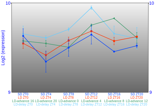 Expression graph