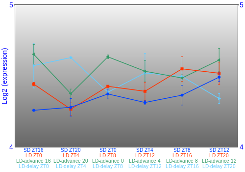 Expression graph