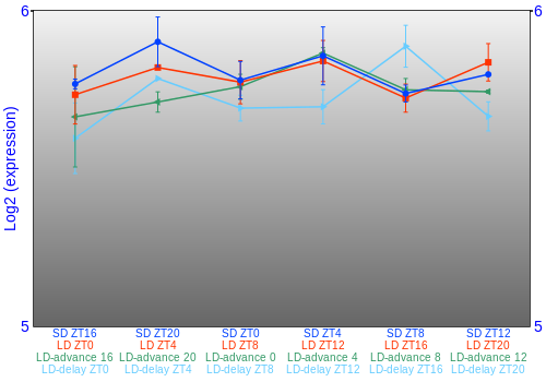 Expression graph