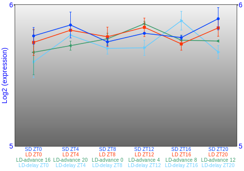 Expression graph
