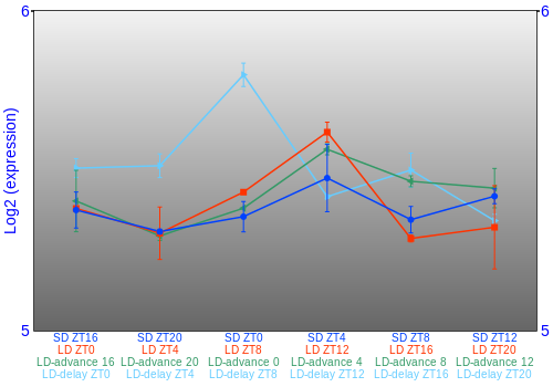 Expression graph