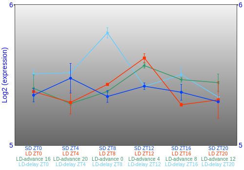 Expression graph