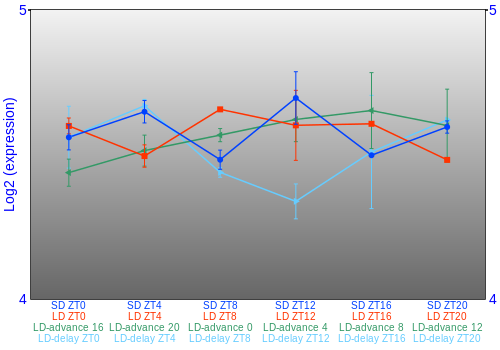 Expression graph