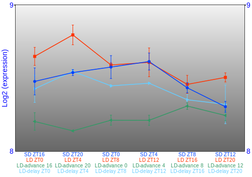 Expression graph