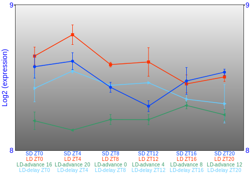 Expression graph