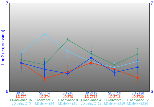 Expression graph