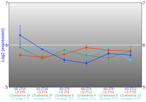 Expression graph