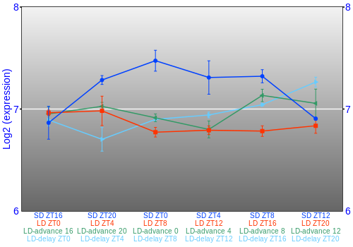 Expression graph