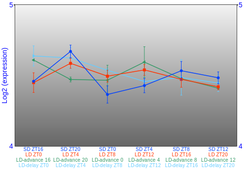 Expression graph