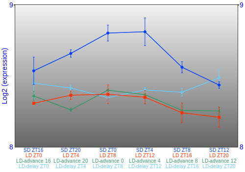 Expression graph