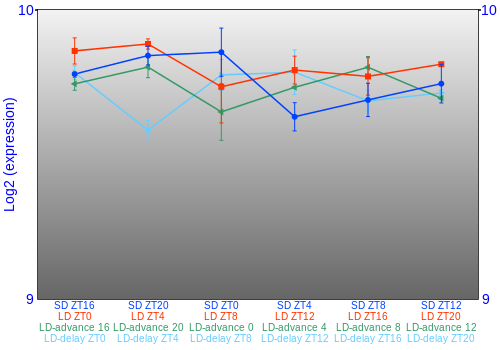 Expression graph