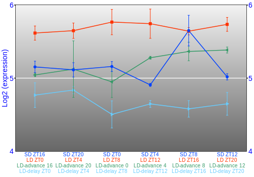 Expression graph