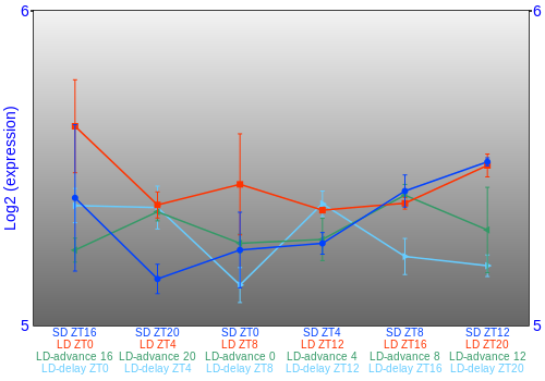 Expression graph