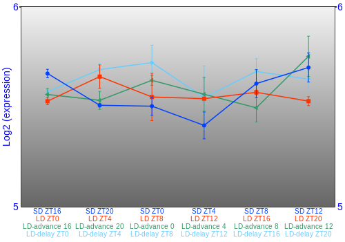 Expression graph