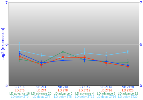 Expression graph