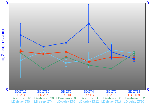 Expression graph