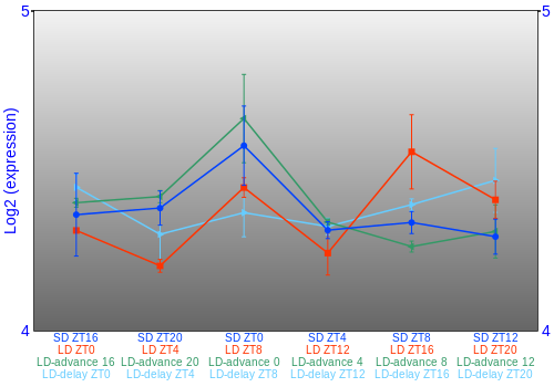Expression graph