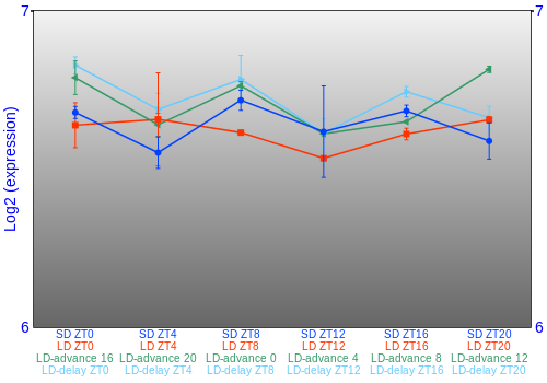 Expression graph