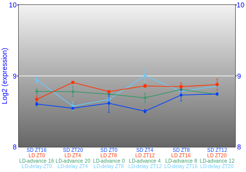 Expression graph