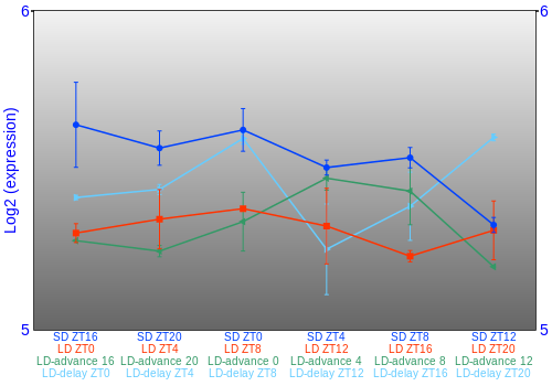 Expression graph