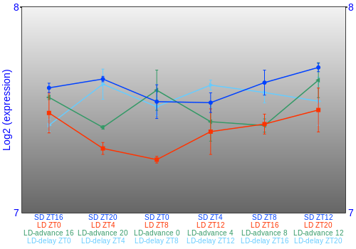 Expression graph