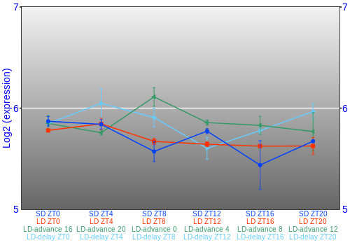 Expression graph