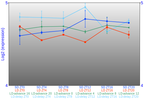 Expression graph